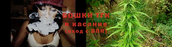 молекула духа Кулебаки