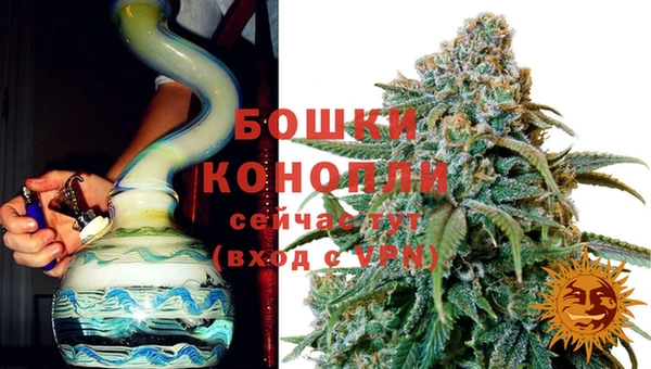 молекула духа Кулебаки