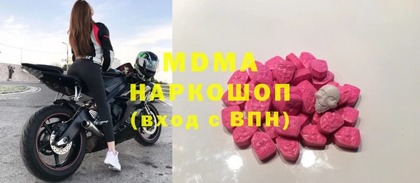 молекула духа Кулебаки