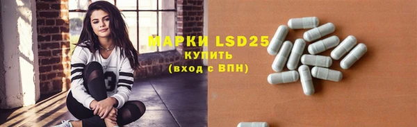 молекула духа Кулебаки