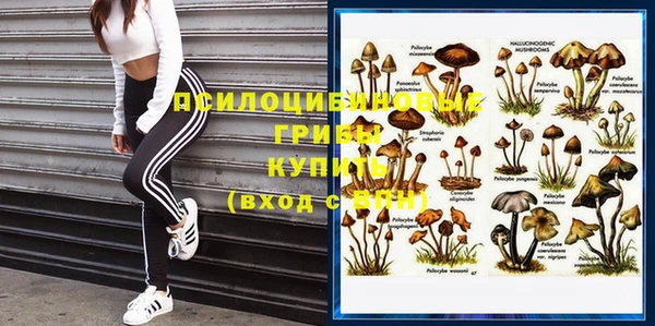 эйфоретик Красноперекопск
