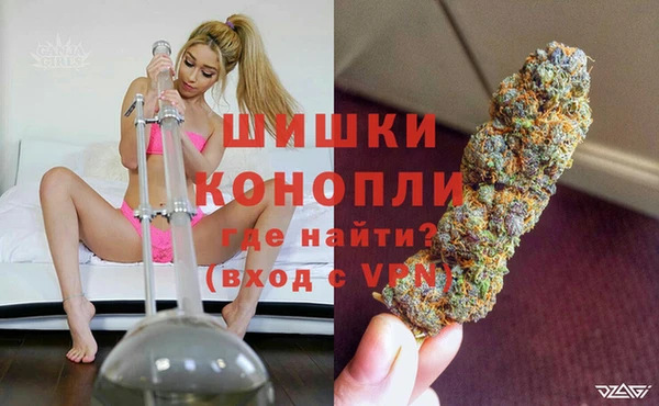 молекула духа Кулебаки