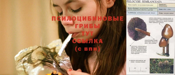 стафф Кукмор