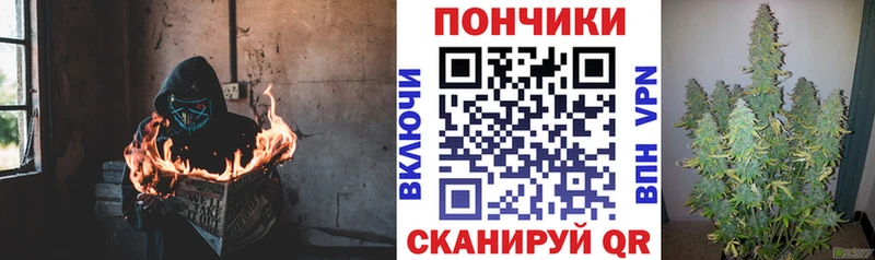 Каннабис план  Купить закладки  Нововоронеж 